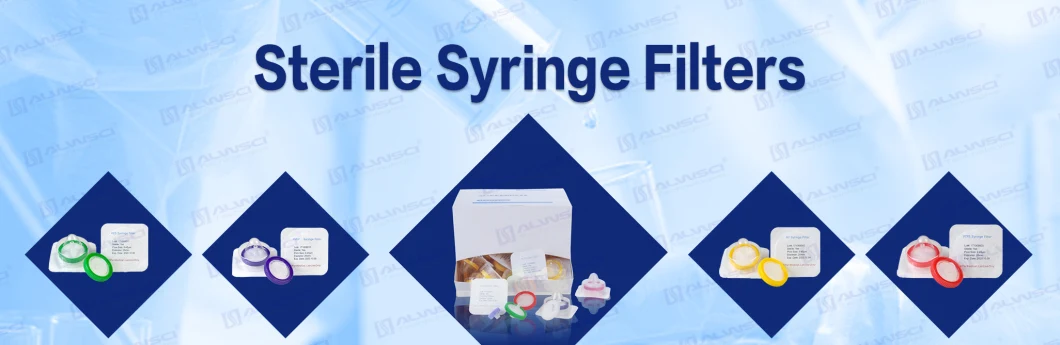 Labfil Dispossible Sterile PTFE Hydrophilic Hydrophobic HPLC Syringe Filter 0.22um 0.45um Welded